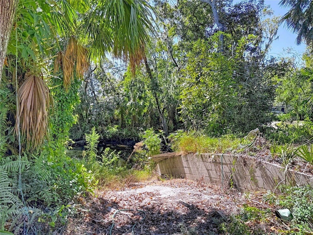 116 Currys Landing Trail Brandon FL 33511 - ALAFIA RIVER TB8442116 image13