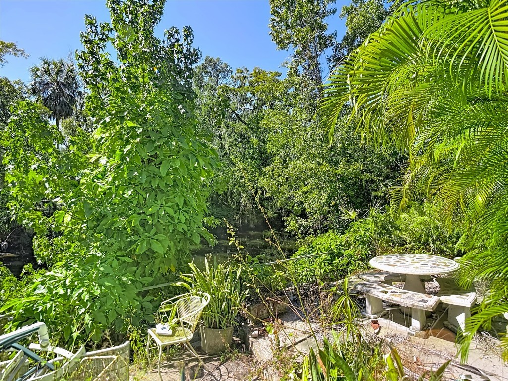 116 Currys Landing Trail Brandon FL 33511 - ALAFIA RIVER TB8442116 image14