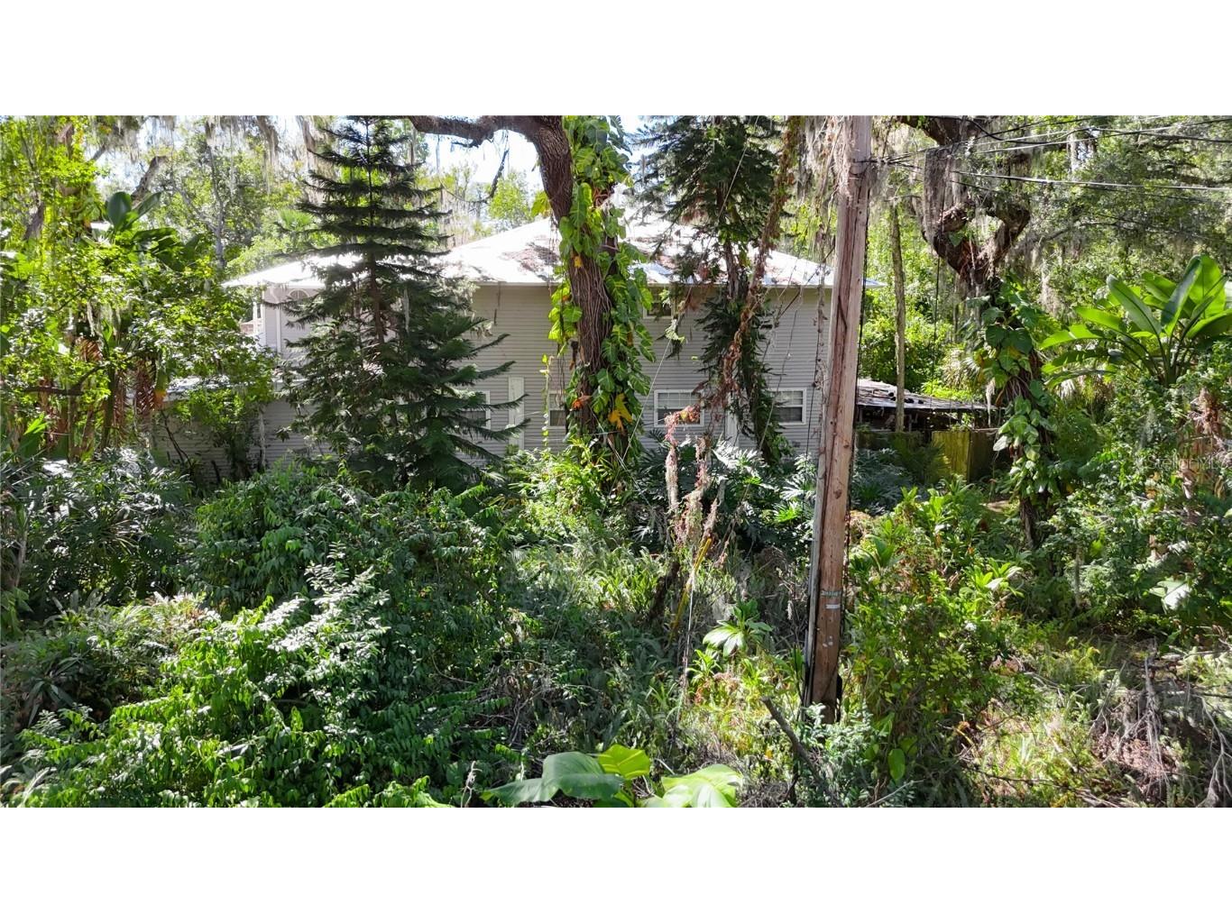 116 Currys Landing Trail Brandon FL 33511 - ALAFIA RIVER TB8442116 image15