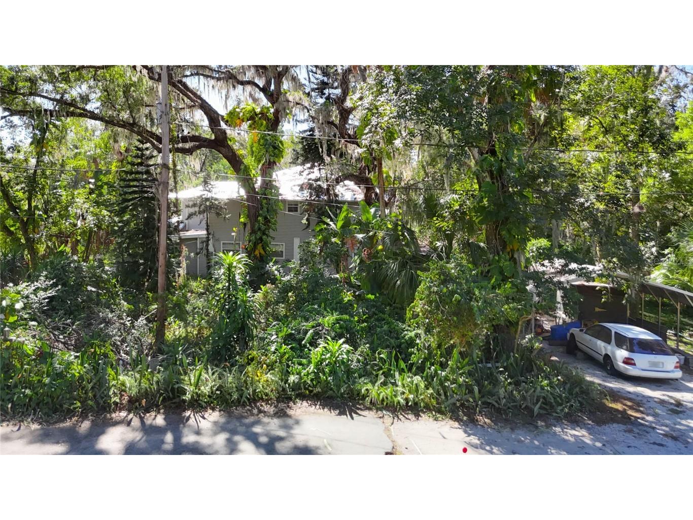 116 Currys Landing Trail Brandon FL 33511 - ALAFIA RIVER TB8442116 image3