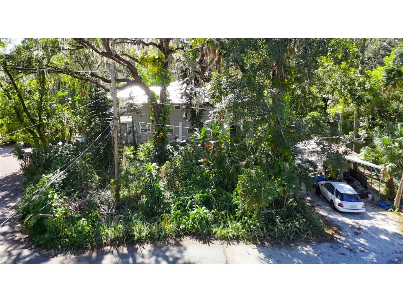 116 Currys Landing Trail Brandon FL 33511 - ALAFIA RIVER TB8442116 image4