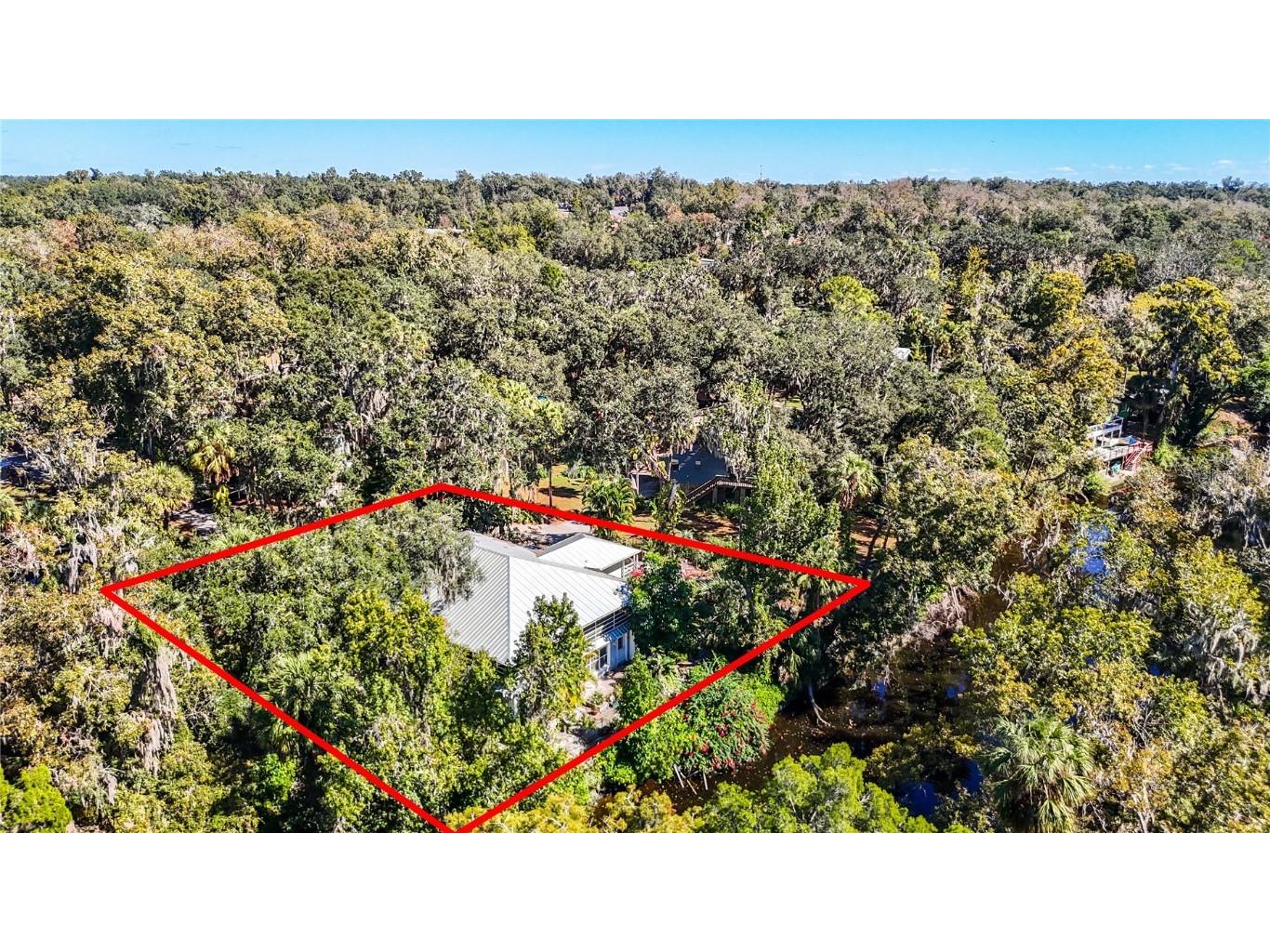 116 Currys Landing Trail Brandon FL 33511 - ALAFIA RIVER TB8442116 image6