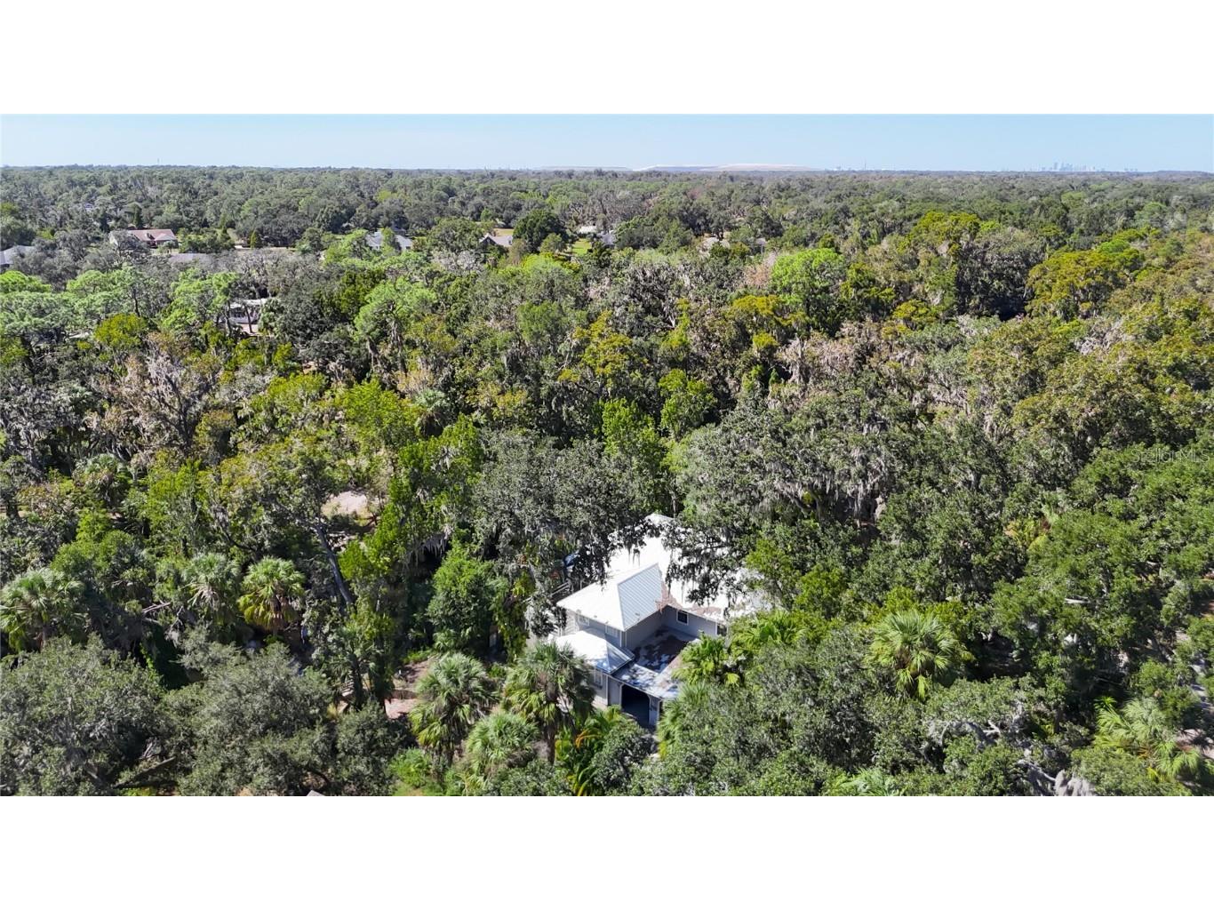 116 Currys Landing Trail Brandon FL 33511 - ALAFIA RIVER TB8442116 image61