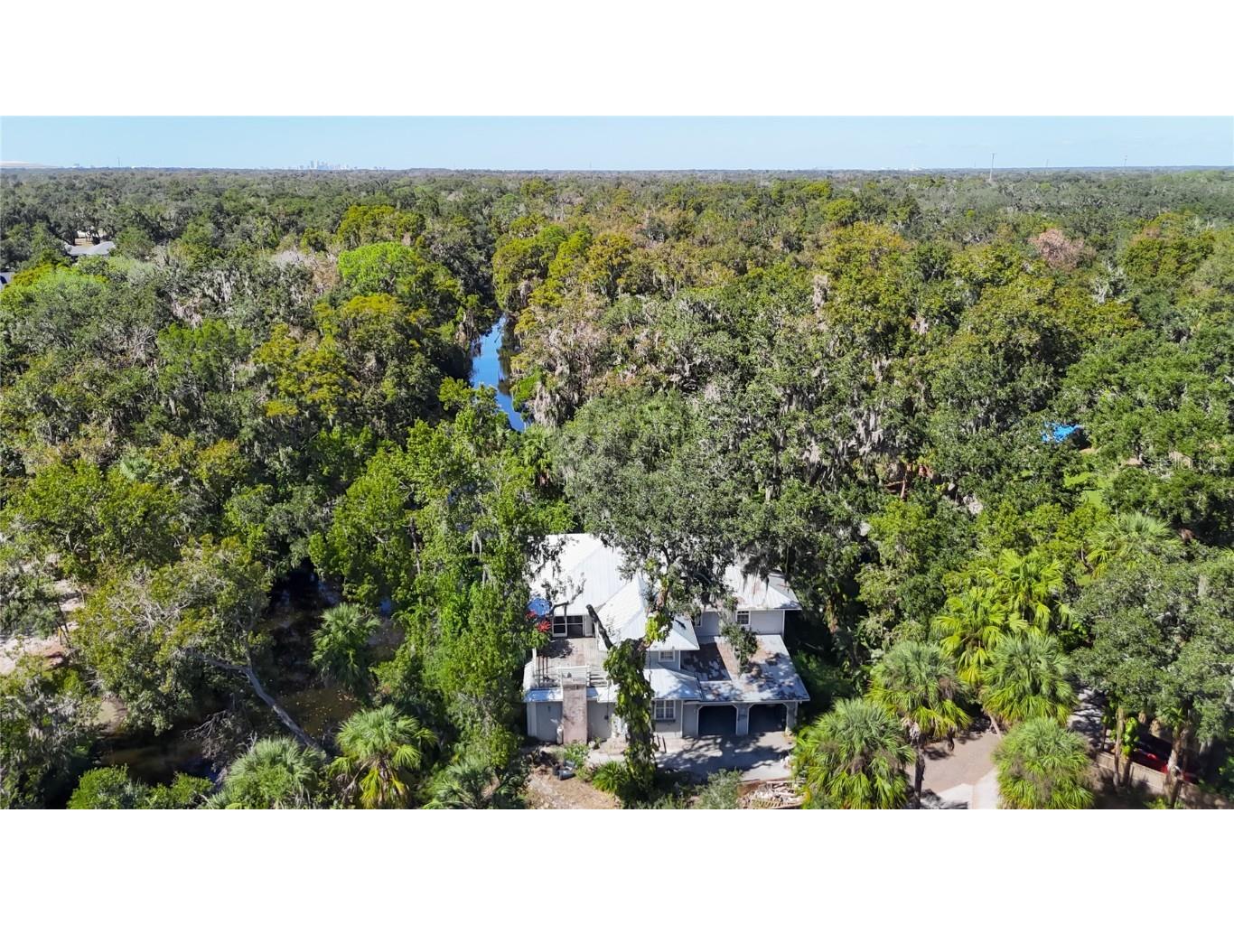 116 Currys Landing Trail Brandon FL 33511 - ALAFIA RIVER TB8442116 image66