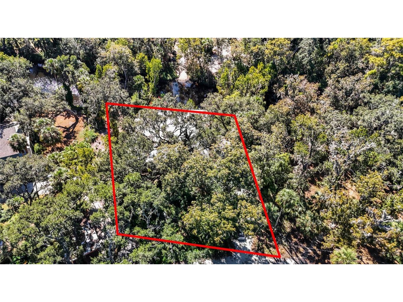 116 Currys Landing Trail Brandon FL 33511 - ALAFIA RIVER TB8442116 image7