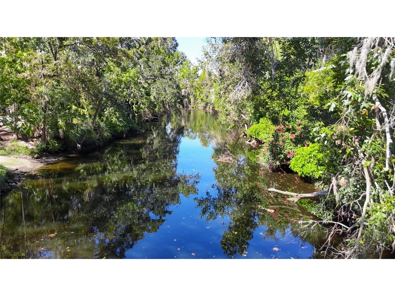 116 Currys Landing Trail Brandon FL 33511 - ALAFIA RIVER TB8442116 image73