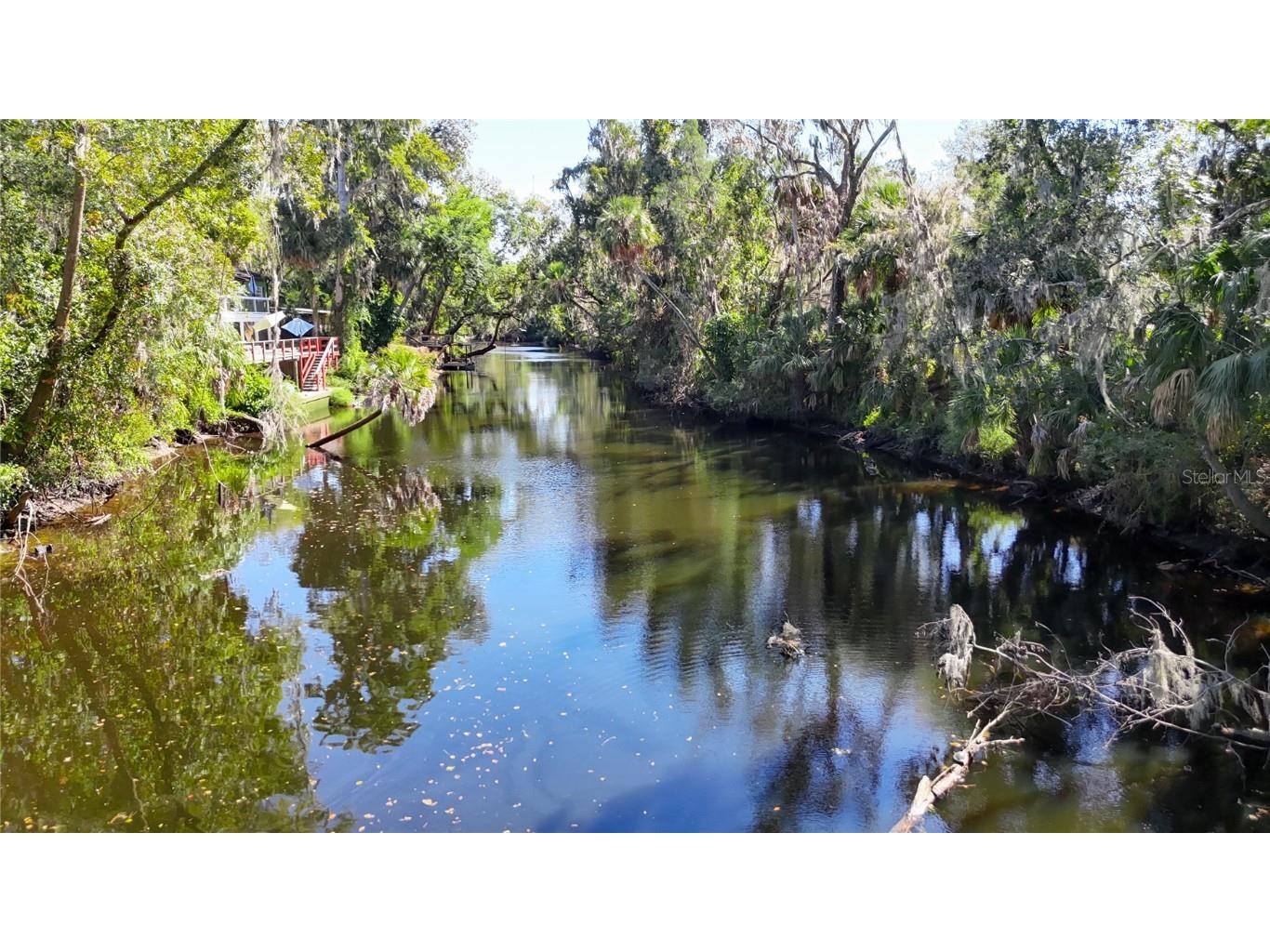 116 Currys Landing Trail Brandon FL 33511 - ALAFIA RIVER TB8442116 image74