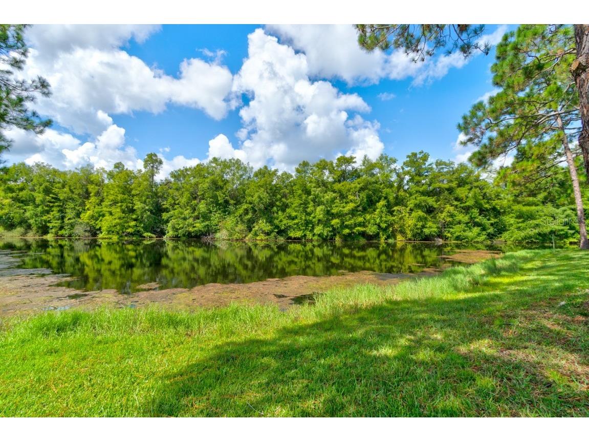 116 Duck Hawk Circle #3040 Daytona Beach FL 32119 FC312105 image24