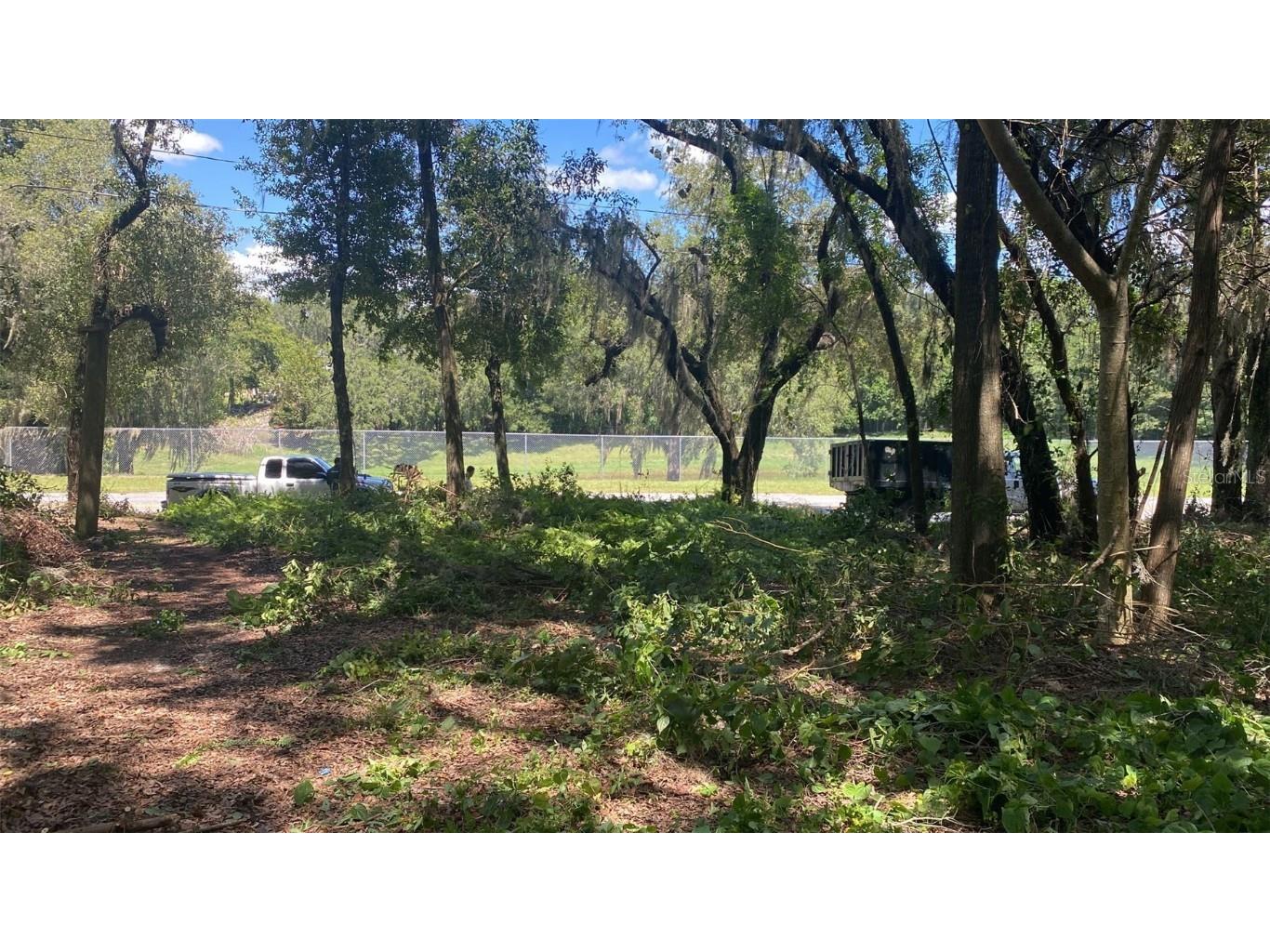 116 E Cleveland Street Apopka FL 32703 O6127543 image1