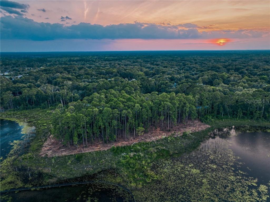 116 E Greentree Lane Lake Mary FL 32746 - LAKE MARIETTA O6115397 image1