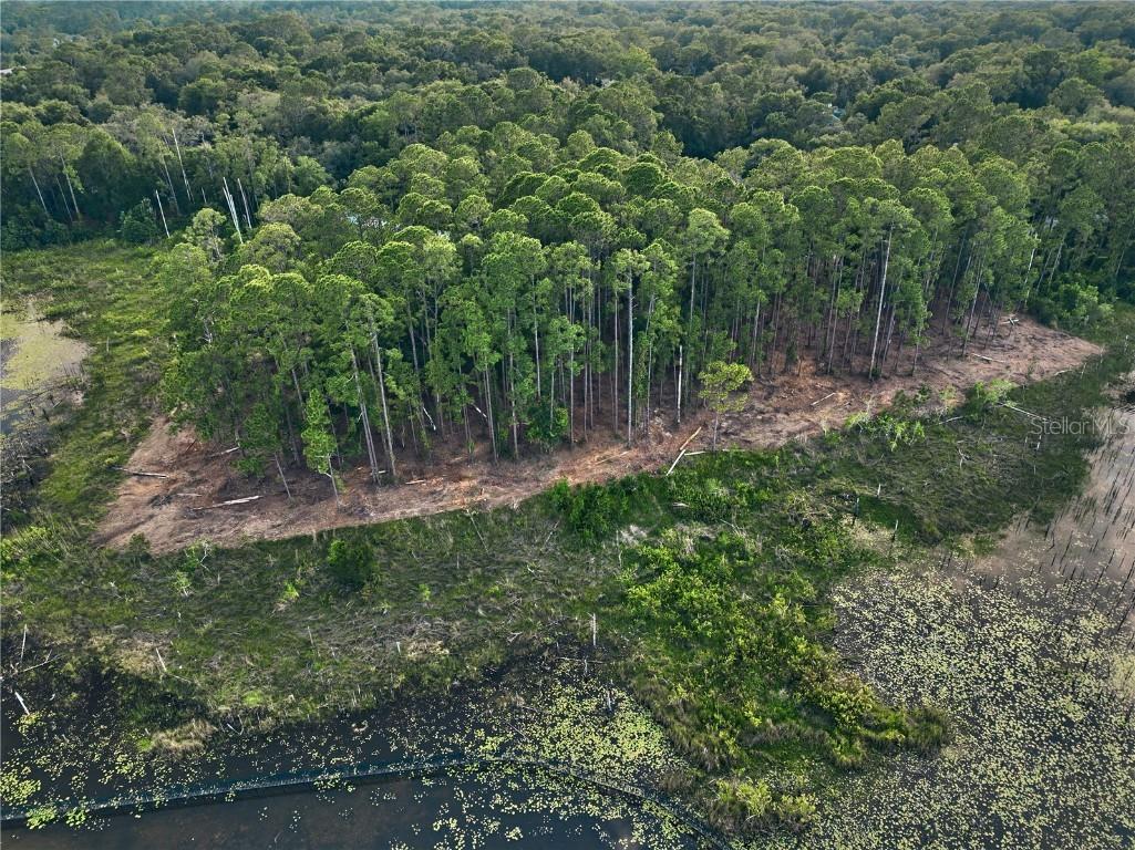 116 E Greentree Lane Lake Mary FL 32746 - LAKE MARIETTA O6115397 image13