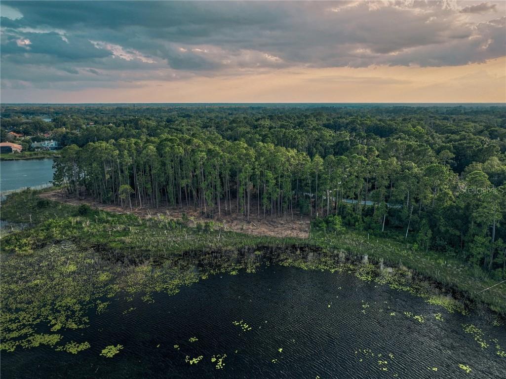 116 E Greentree Lane Lake Mary FL 32746 - LAKE MARIETTA O6115397 image14