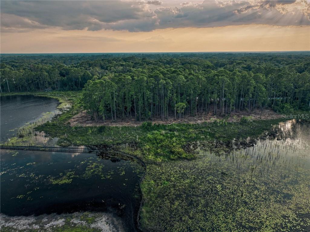 116 E Greentree Lane Lake Mary FL 32746 - LAKE MARIETTA O6115397 image20