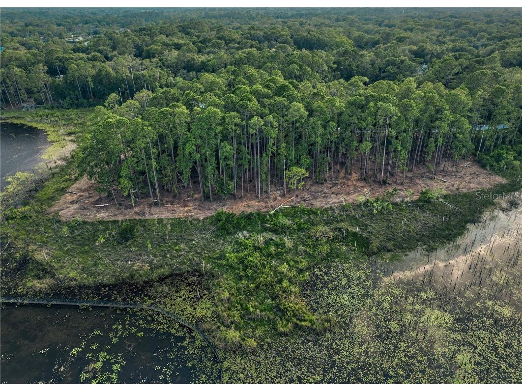 116 E Greentree Lane Lake Mary FL 32746 - LAKE MARIETTA O6115397 image21