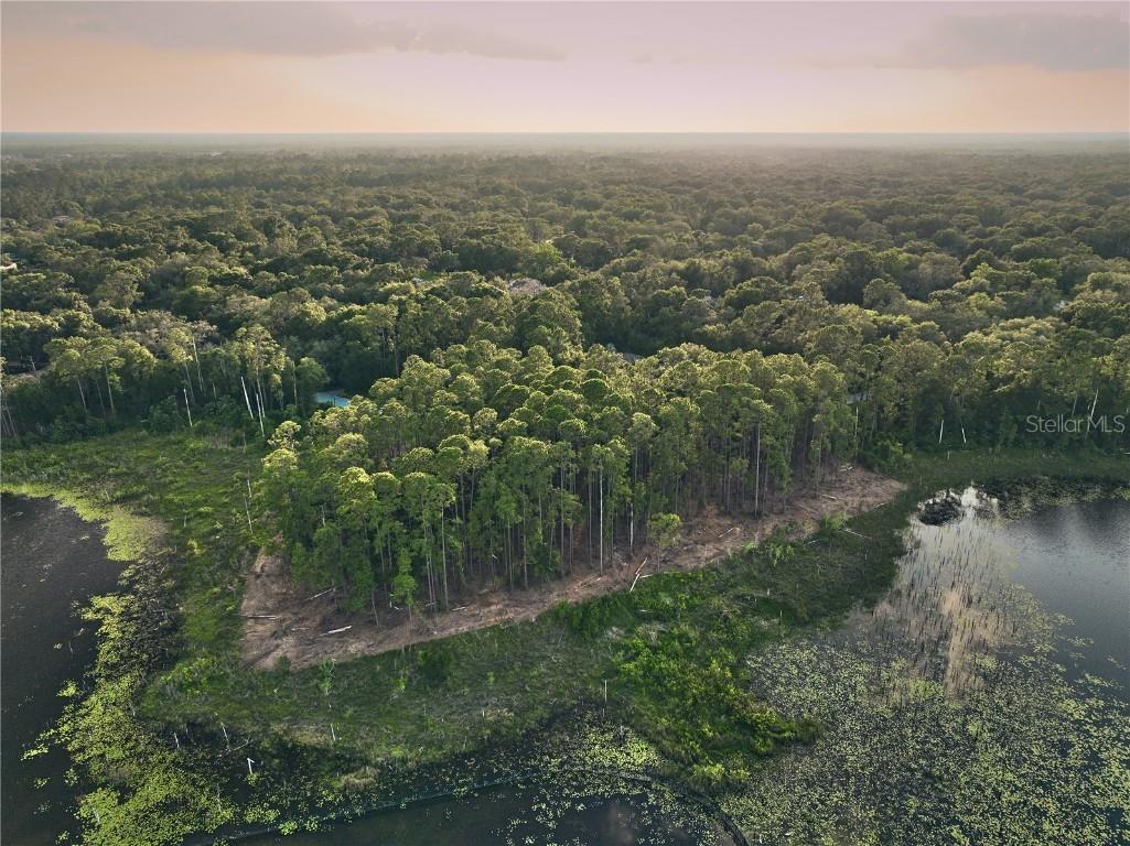 116 E Greentree Lane Lake Mary FL 32746 - LAKE MARIETTA O6115397 image24