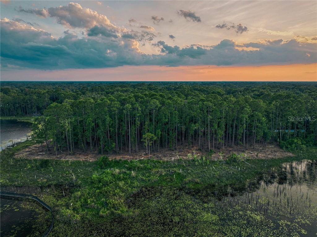 116 E Greentree Lane Lake Mary FL 32746 - LAKE MARIETTA O6115397 image25