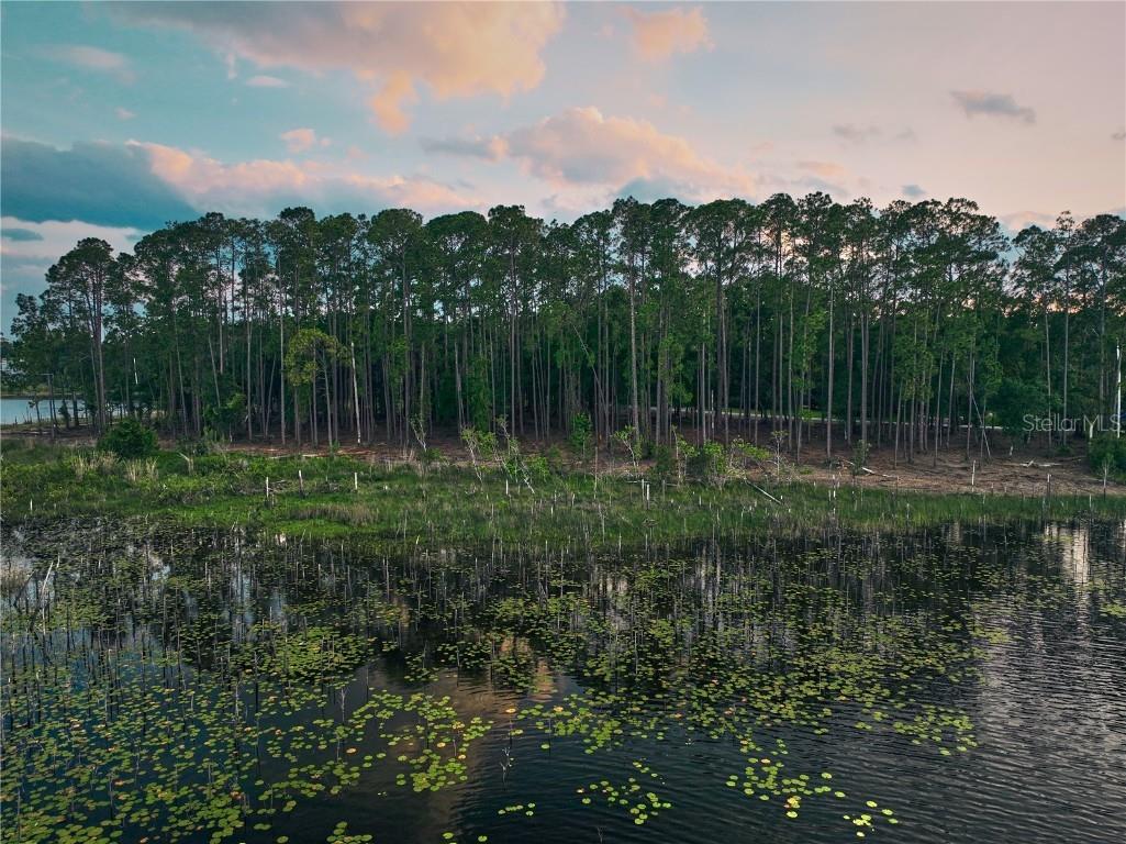 116 E Greentree Lane Lake Mary FL 32746 - LAKE MARIETTA O6115397 image26