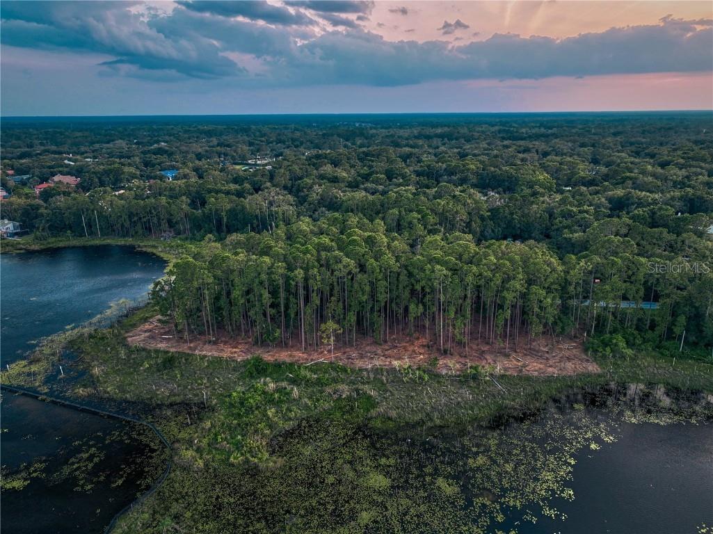 116 E Greentree Lane Lake Mary FL 32746 - LAKE MARIETTA O6115397 image4