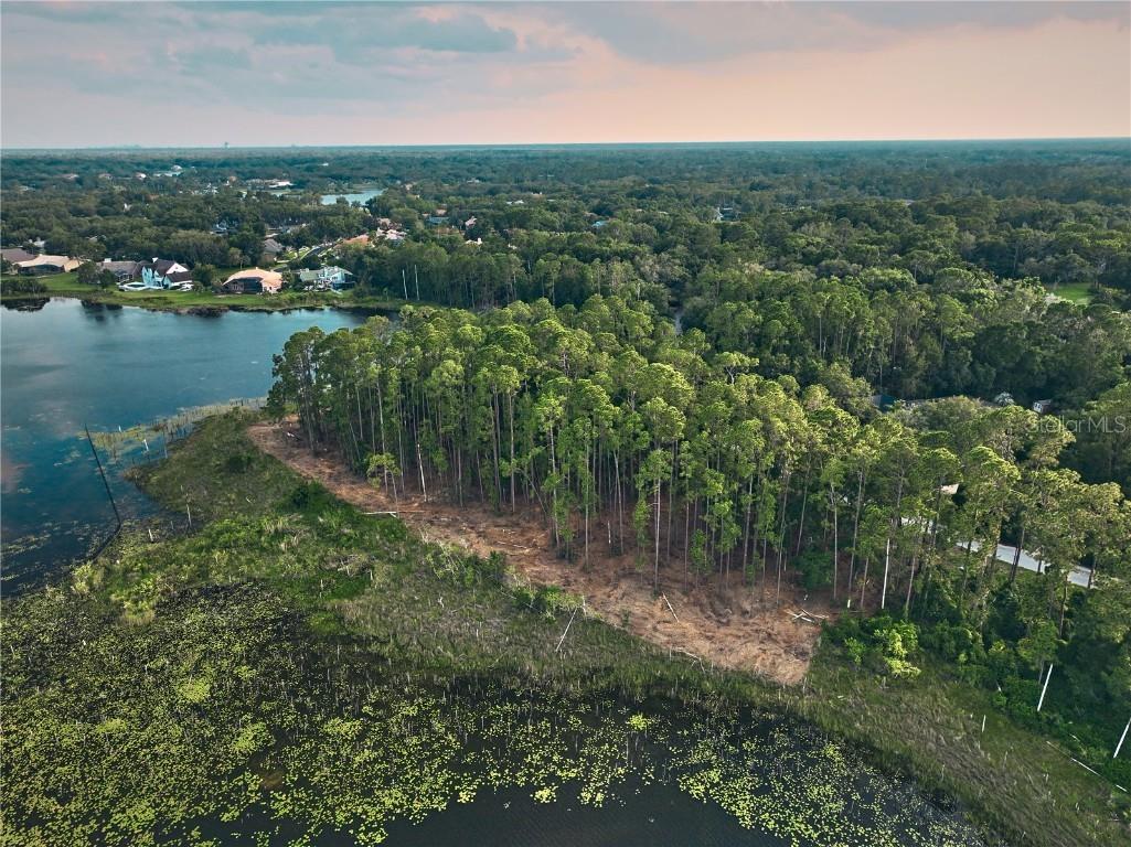 116 E Greentree Lane Lake Mary FL 32746 - LAKE MARIETTA O6115397 image6