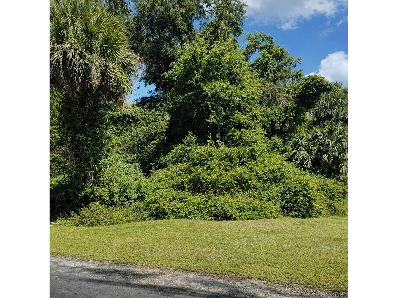 116 Edgard Drive Palm Coast FL 32164 FC316124 image1