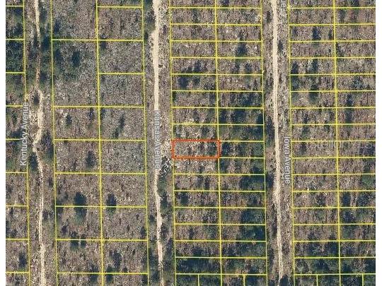 116 Kansas Avenue Hawthorne FL 32640 O6277993 image1