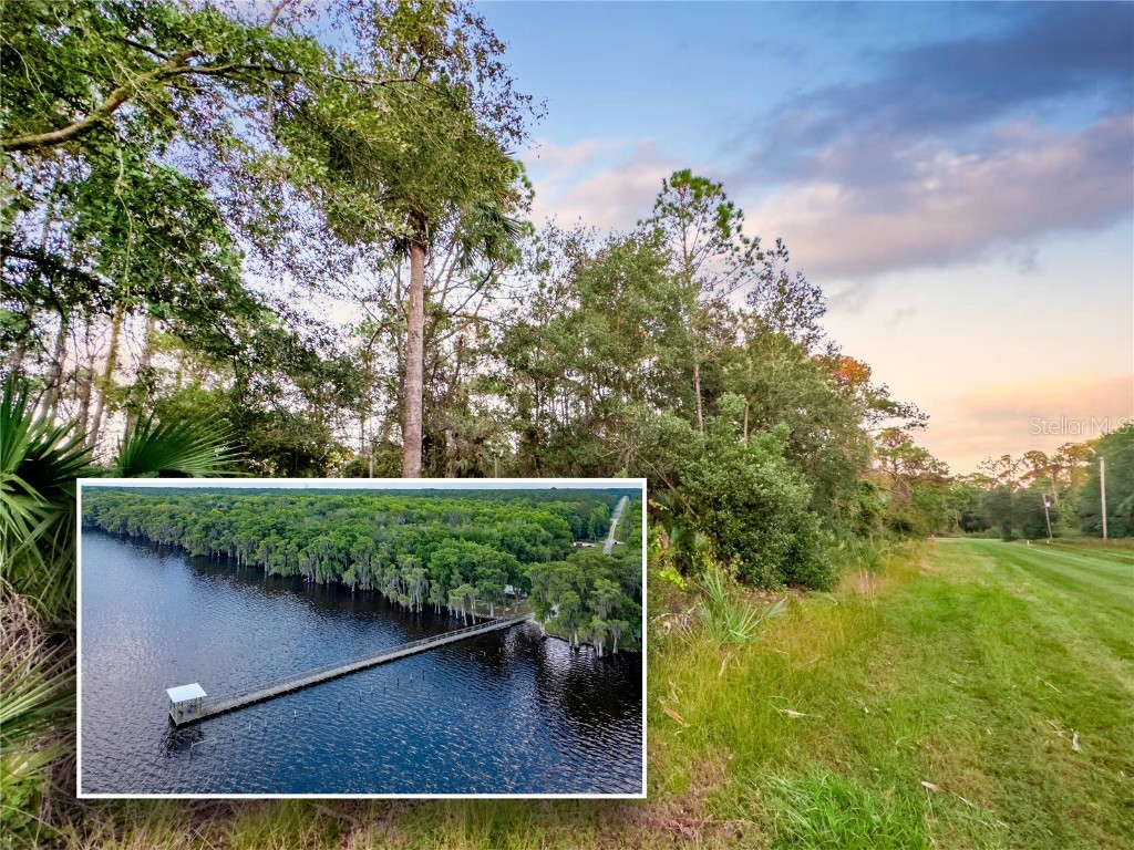 116 Laisy Drive Georgetown FL 32139 O6080574 image1