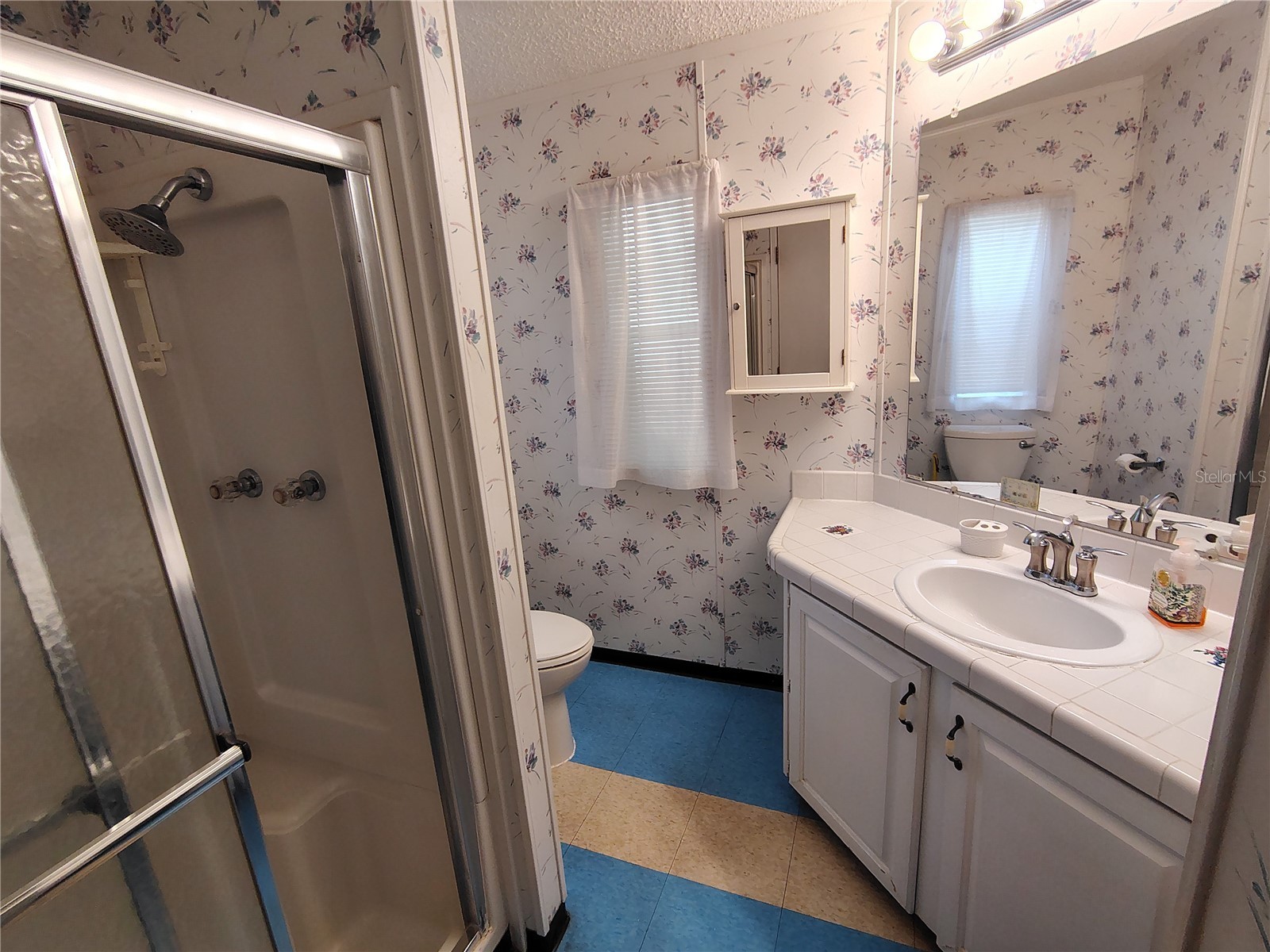 116 Lyonia Lane Wildwood FL 34785 G5106351 image17