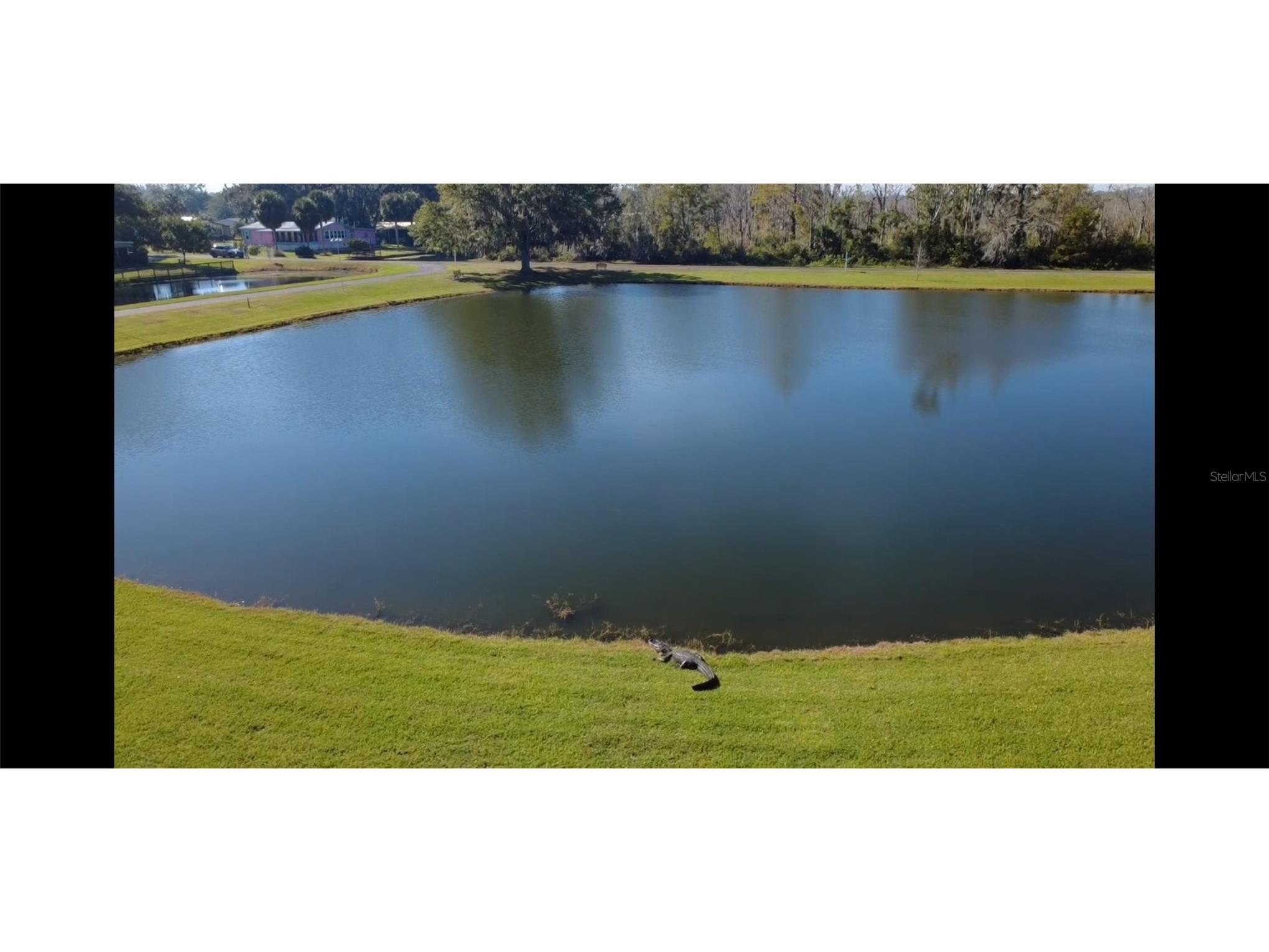 116 Lyonia Lane Wildwood FL 34785 G5106351 image32