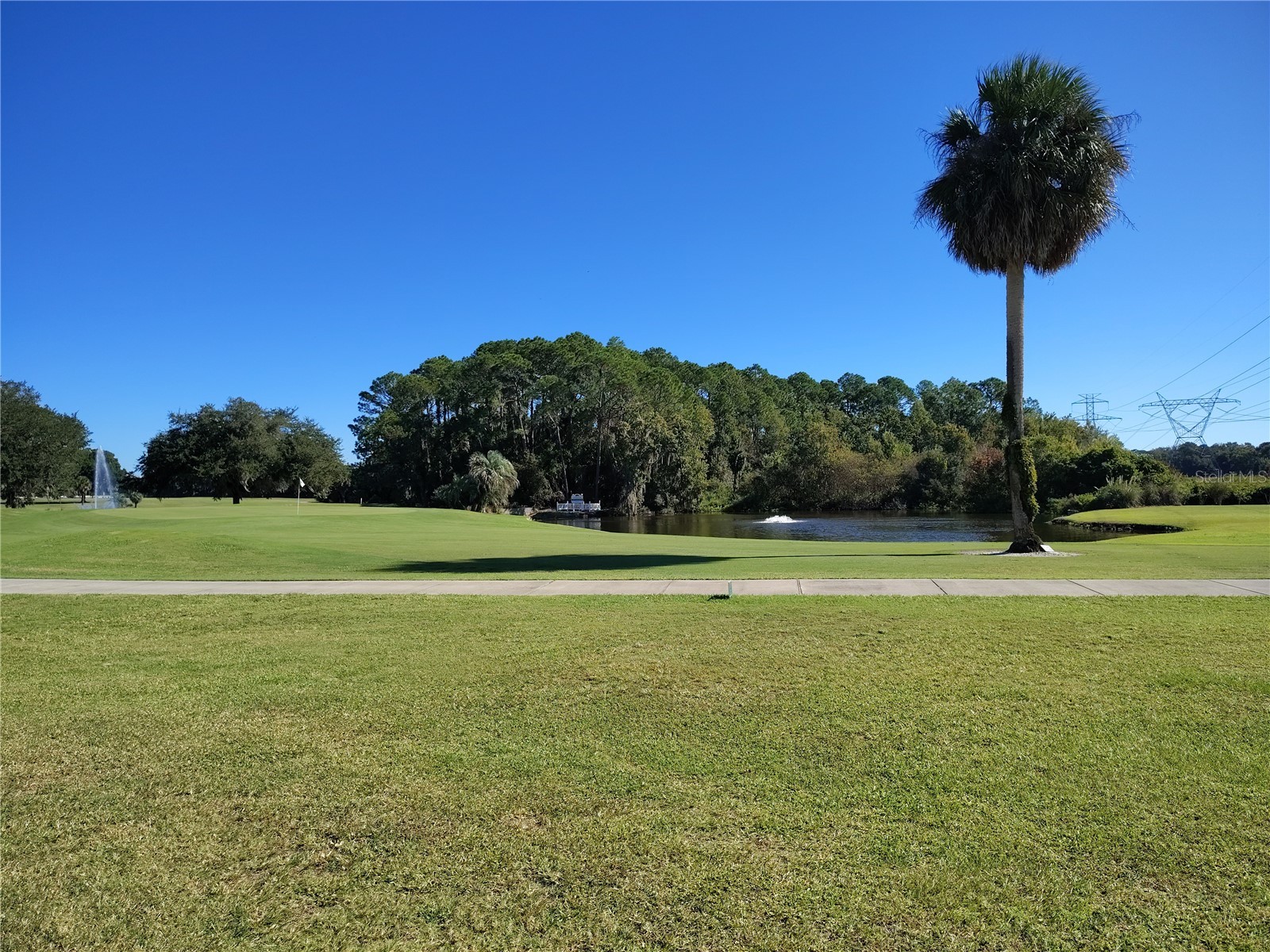 116 Lyonia Lane Wildwood FL 34785 G5106351 image34