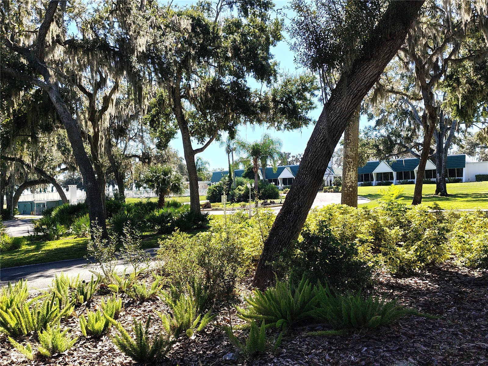 116 Lyonia Lane Wildwood FL 34785 G5106351 image37