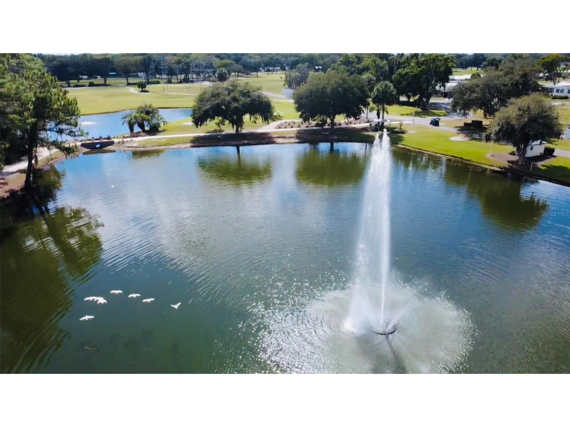 116 Lyonia Lane Wildwood FL 34785 G5106351 image4
