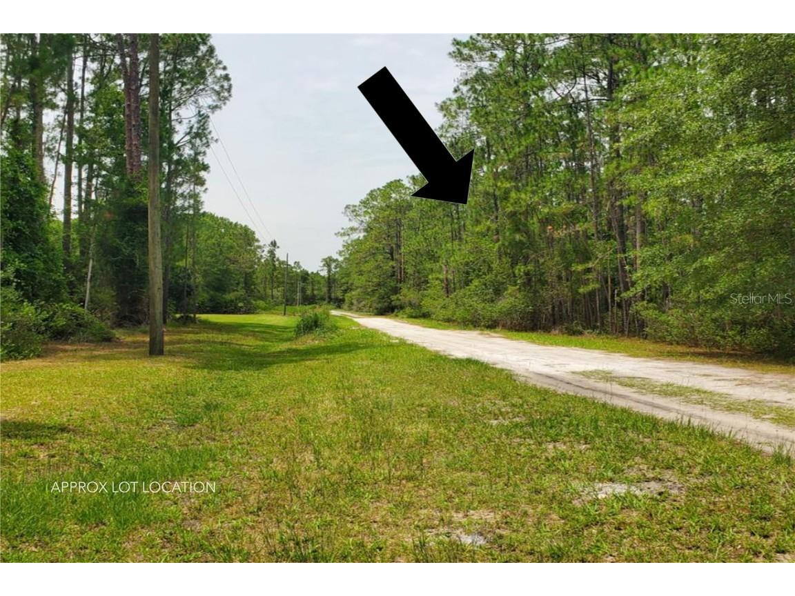 116 Mosswood Street Georgetown FL 32139 O6178022 image1