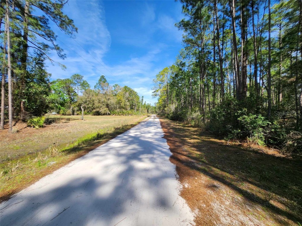 116 Mosswood Street Georgetown FL 32139 FC308374 image2