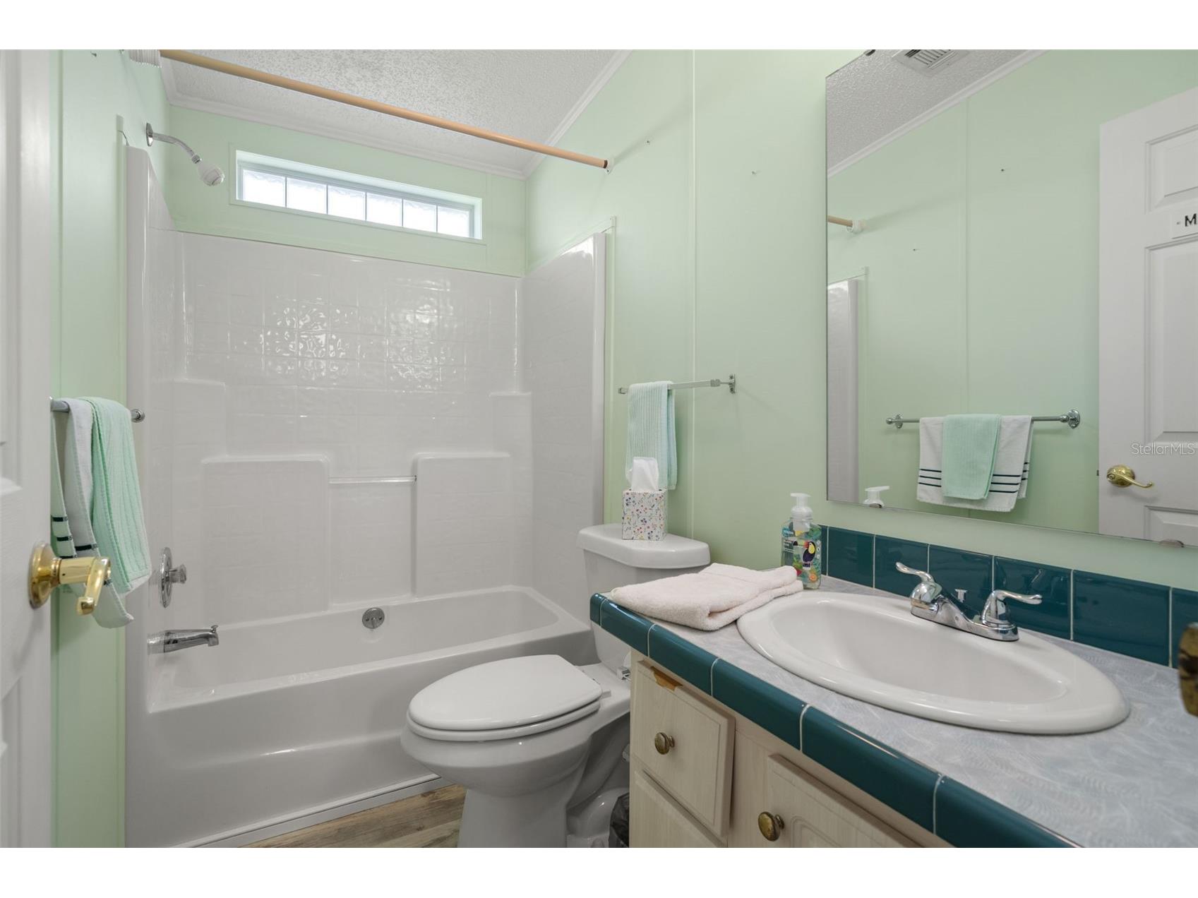 116 Mount Isle Avenue NE #116 Saint Petersburg FL 33702 - TAMPA BAY TB8526406 image27