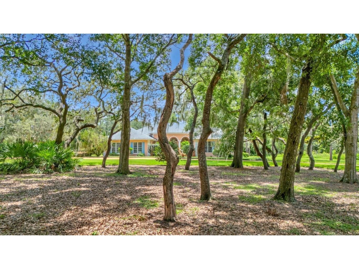 116 Mountain Lake Lake Wales FL 33898 P4936933 image11