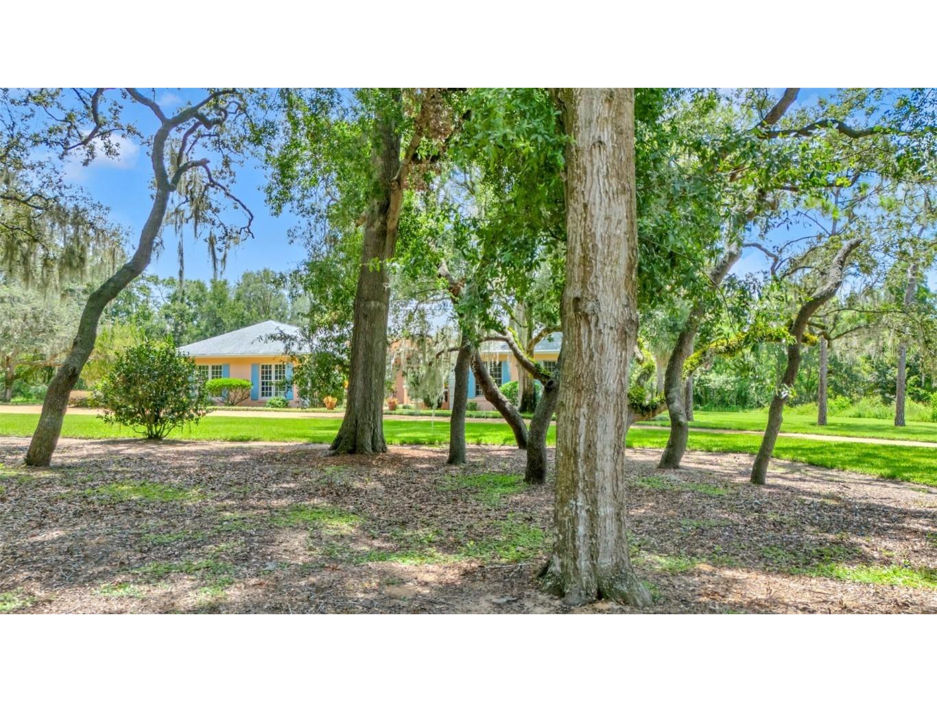 116 Mountain Lake Lake Wales FL 33898 P4936933 image9