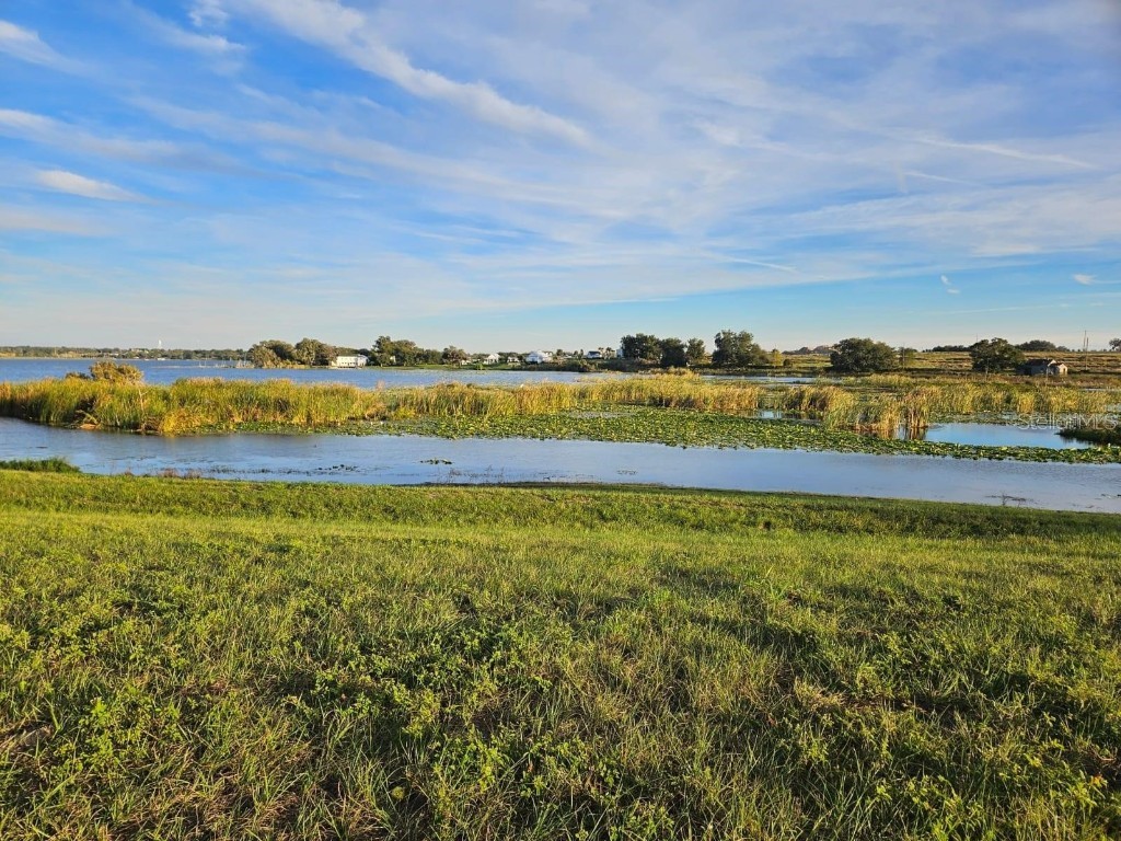 116 N Caladium Avenue Lake Alfred FL 33850 S5129620 image14