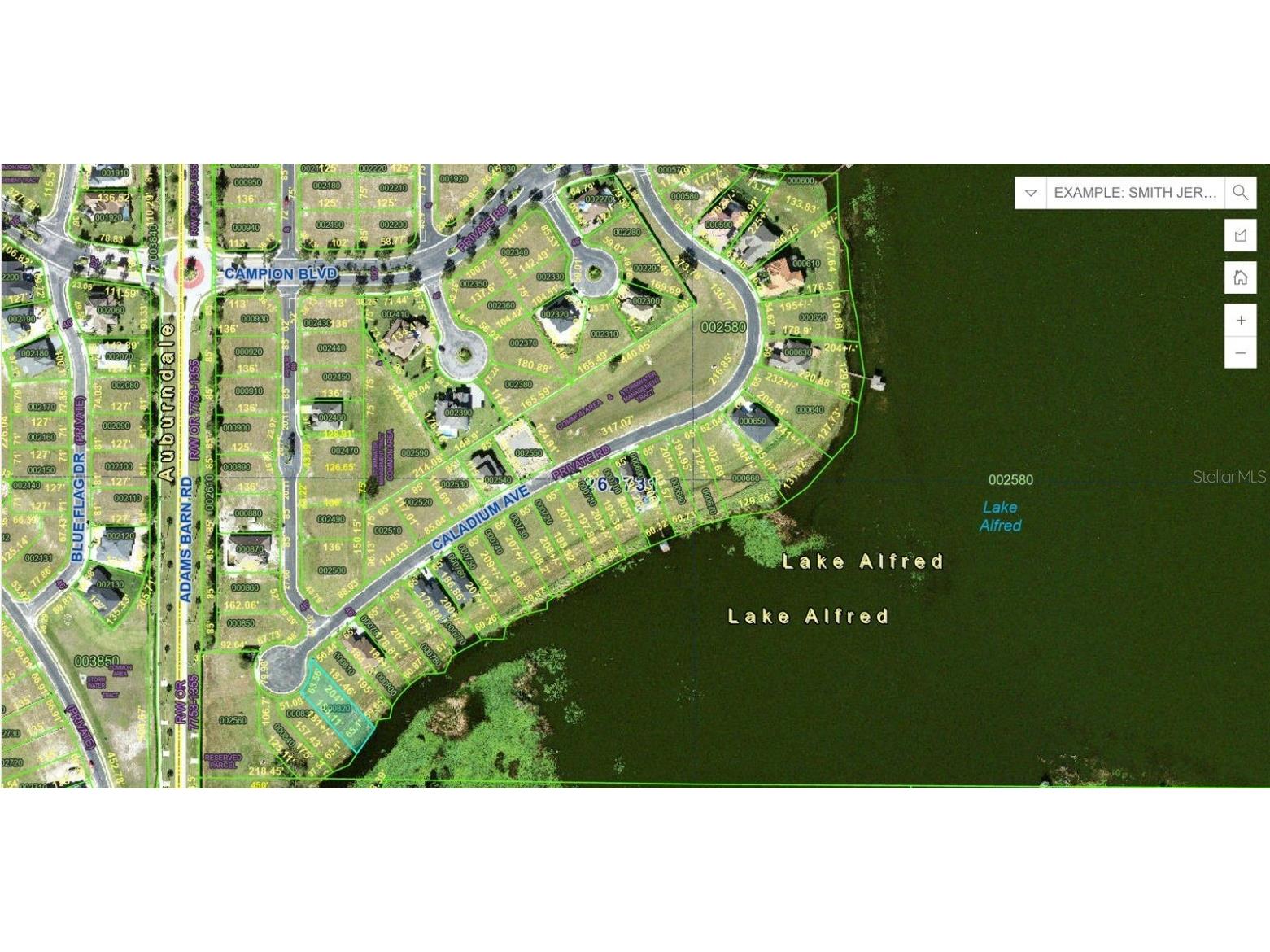 116 N Caladium Avenue Lake Alfred FL 33850 S5129620 image16