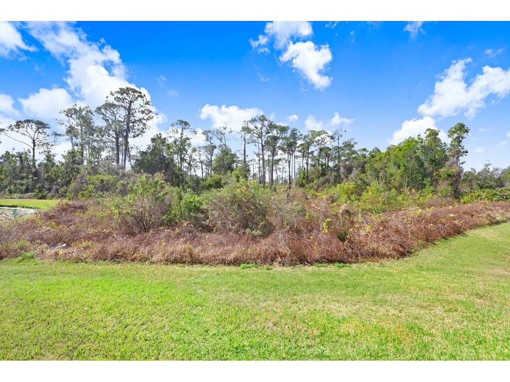 116 Ocean Bluff Drive Kissimmee FL 34759 L4958493 image22