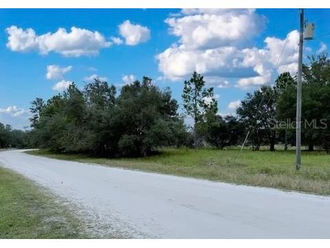 116 Osceola Road Georgetown FL 32139 TB8495619 image14
