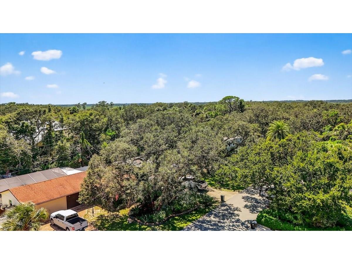 116 Rains Drive Ponce Inlet FL 32127 V4945543 image32