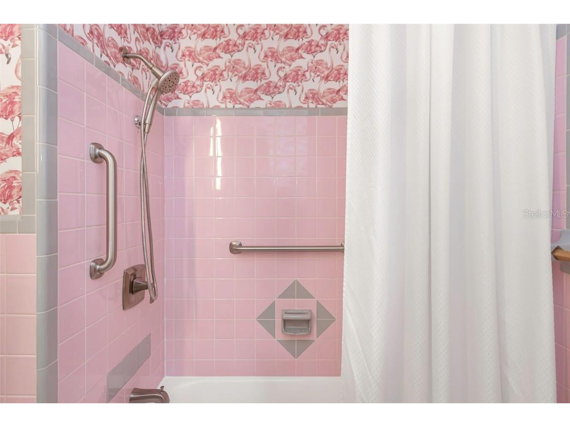 116 Read Street Tarpon Springs FL 34689 TB8453408 image47