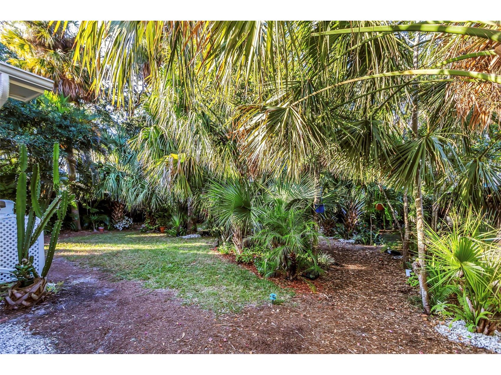 116 Read Street Tarpon Springs FL 34689 TB8512693 image56