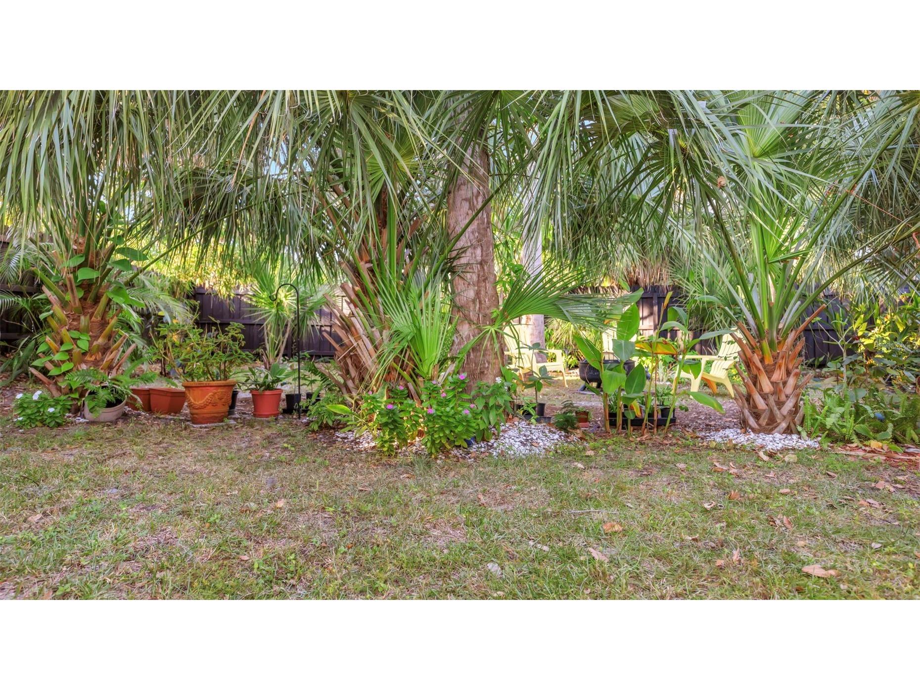 116 Read Street Tarpon Springs FL 34689 TB8512693 image61