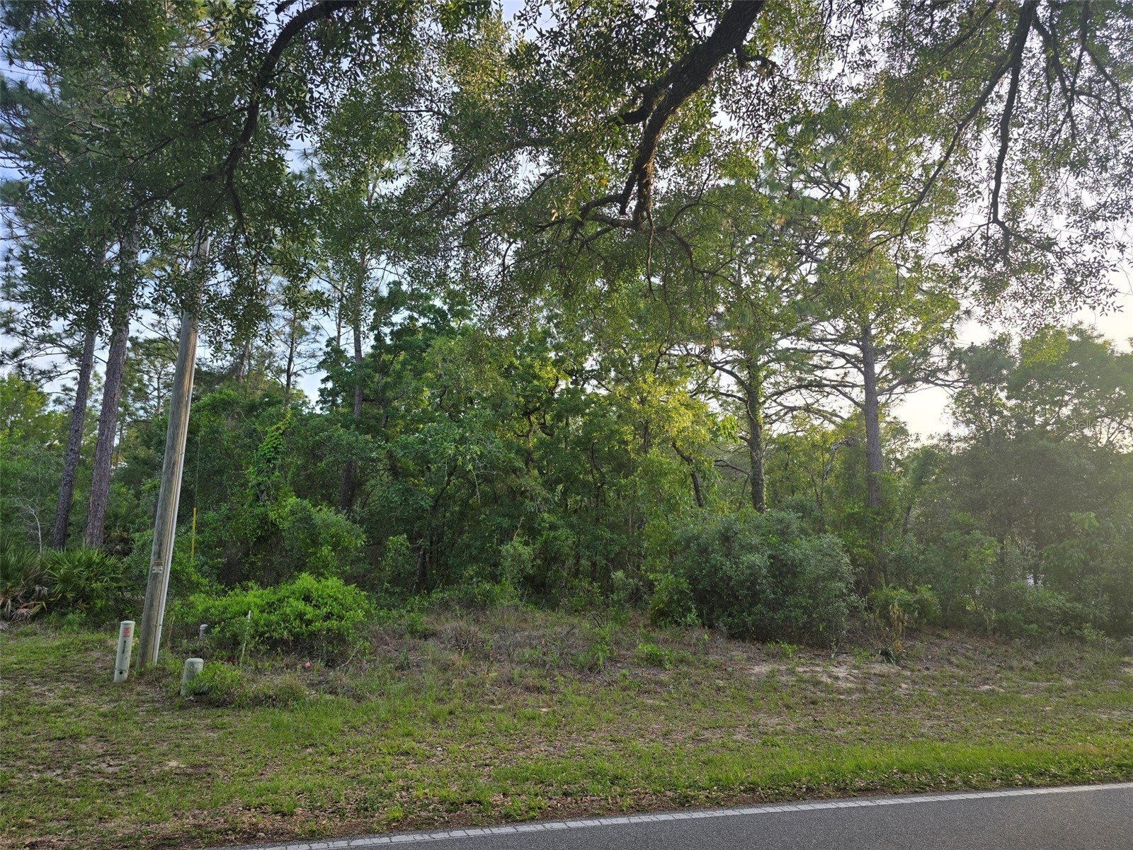 116 S Oak Village Boulevard Homosassa FL 34446 W7885651 image1