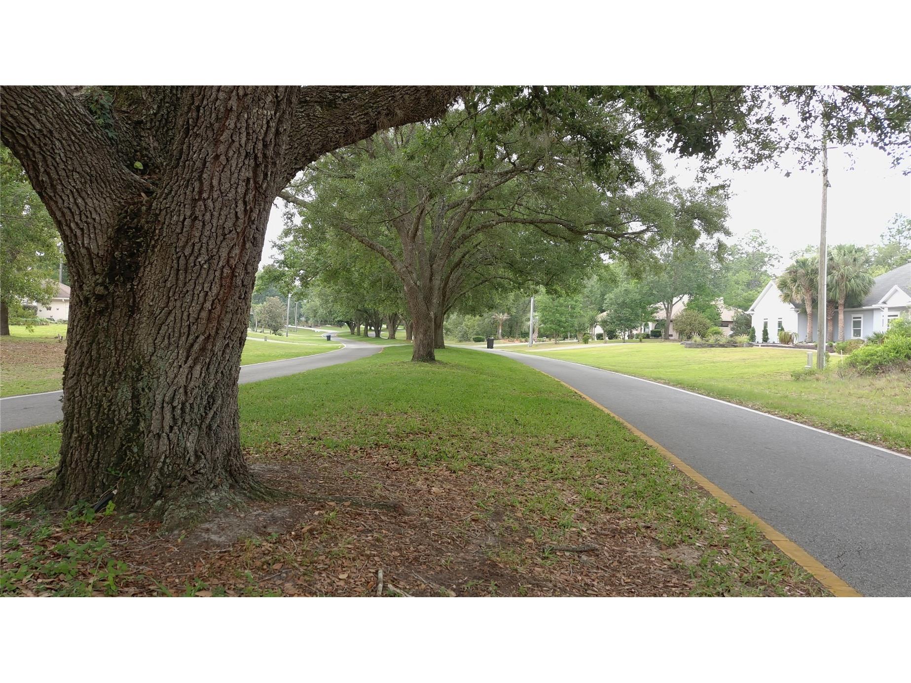 116 S Oak Village Boulevard Homosassa FL 34446 W7885651 image15