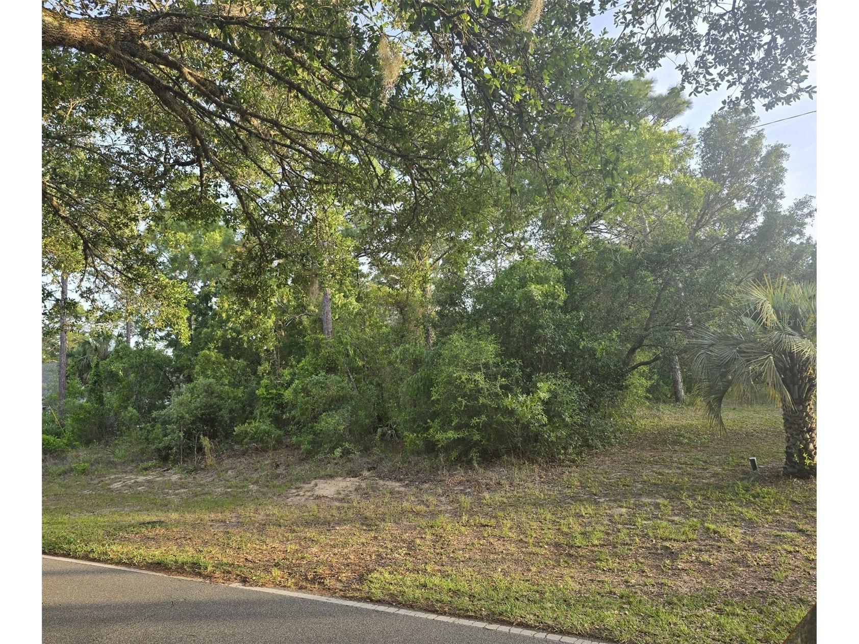 116 S Oak Village Boulevard Homosassa FL 34446 W7885651 image3