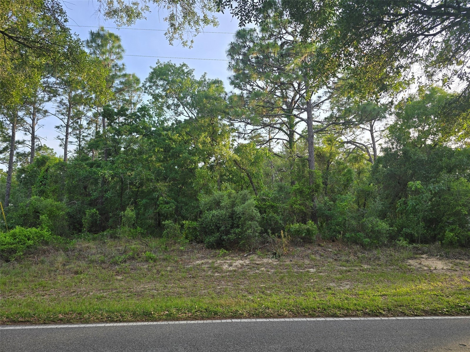 116 S Oak Village Boulevard Homosassa FL 34446 W7885651 image4