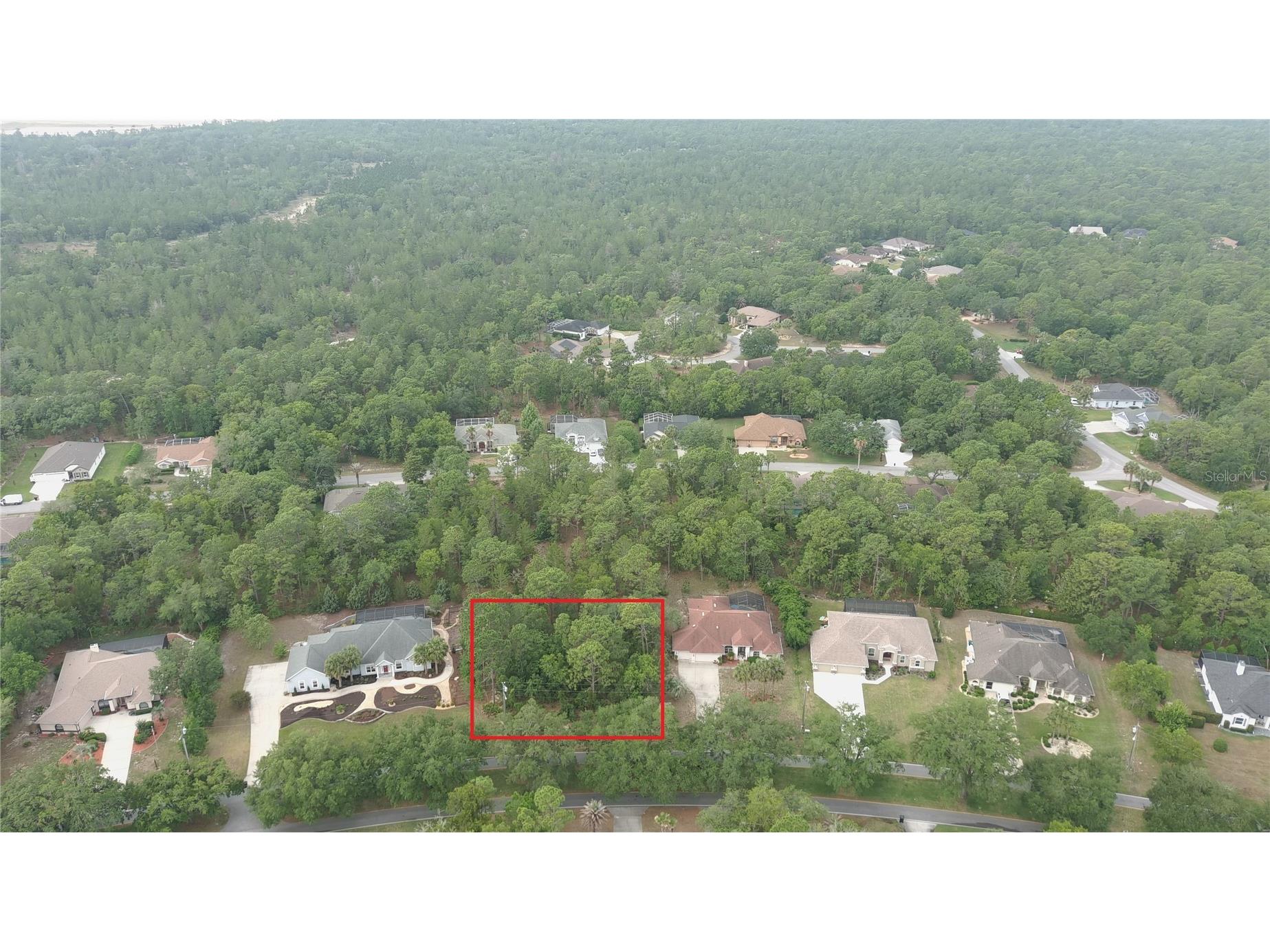 116 S Oak Village Boulevard Homosassa FL 34446 W7885651 image6