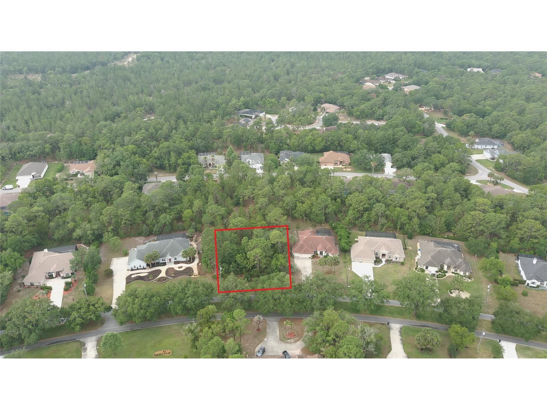 116 S Oak Village Boulevard Homosassa FL 34446 W7885651 image7